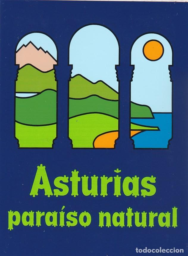 Collection stickers: PEGATINA ASTURIAS PARAISO NATURAL (GRANDE)