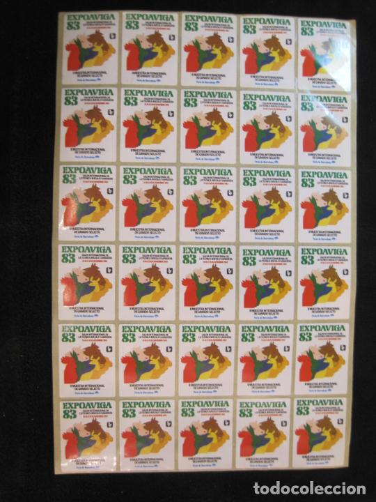 Collection stickers: EXPOAVIGA 83-II MUESTRA INTERNACIONAL GANADO SELECTO-BARCELONA-A&Ntilde;O 1983-VER FOTOS-(K-2016)