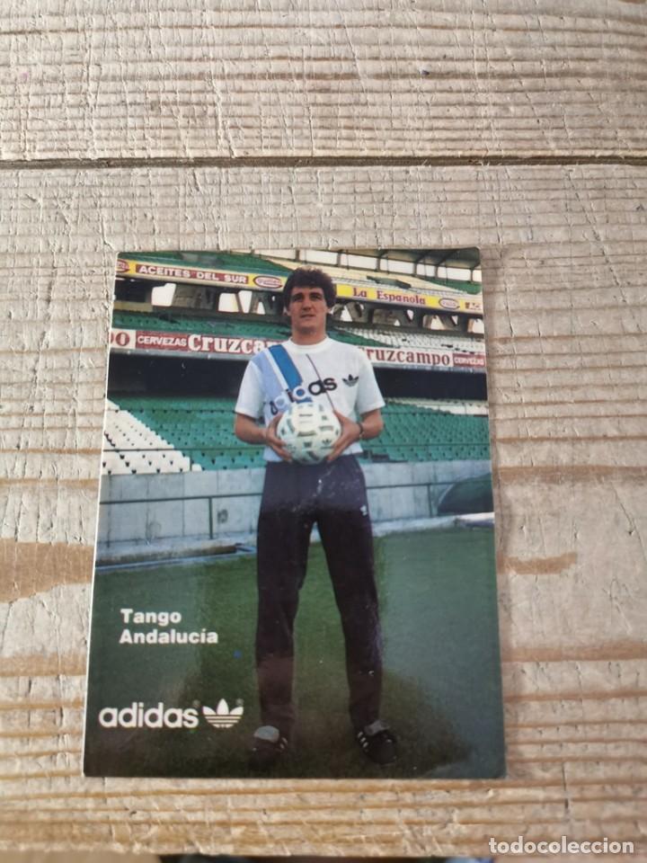 Pegatinas de colecci&oacute;n: ANTIGUA PEGATINA &rdquo;ADIDAS - TANGO ANDALUC&Iacute;A&rdquo;