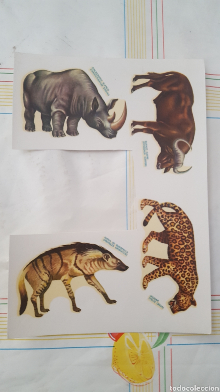Pegatinas de colecci&oacute;n: Calcomania antigua ORTEGA - Recortada, falta una - 16,8 x 12 cms - serie Fauna 16