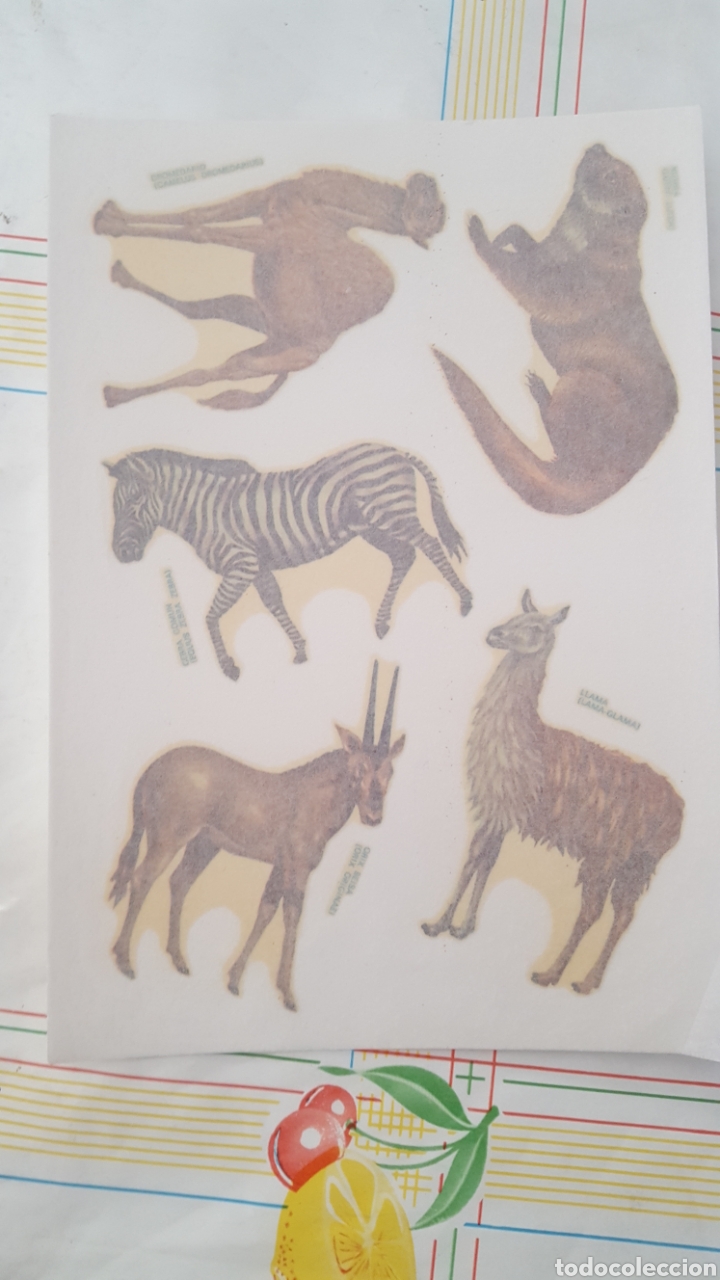 Pegatinas de colecci&oacute;n: Calcomania antigua ORTEGA - SIN USAR - 16,8 x 12 cms - serie Fauna 11