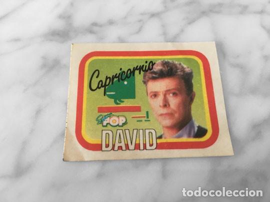 Pegatinas de colecci&oacute;n: PEGATINA - ADHESIVO - HOROSCOPO - CAPRICORNIO - DAVID BOWIE - SUPER POP