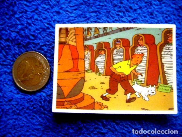 Collection stickers: PEGATINA TINTIN LOS CIGERROS DEL FARAON MILU HERGE JUVENTUD CASTERMAN STICKER