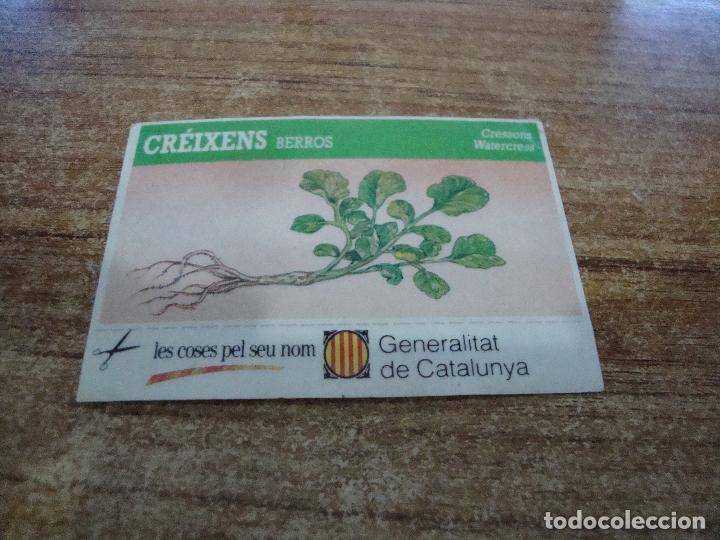 Autocollants de collection: CROMO PEGATINA GENERALITAT DE CATALUNYA LES COSES PEL SEU NOM