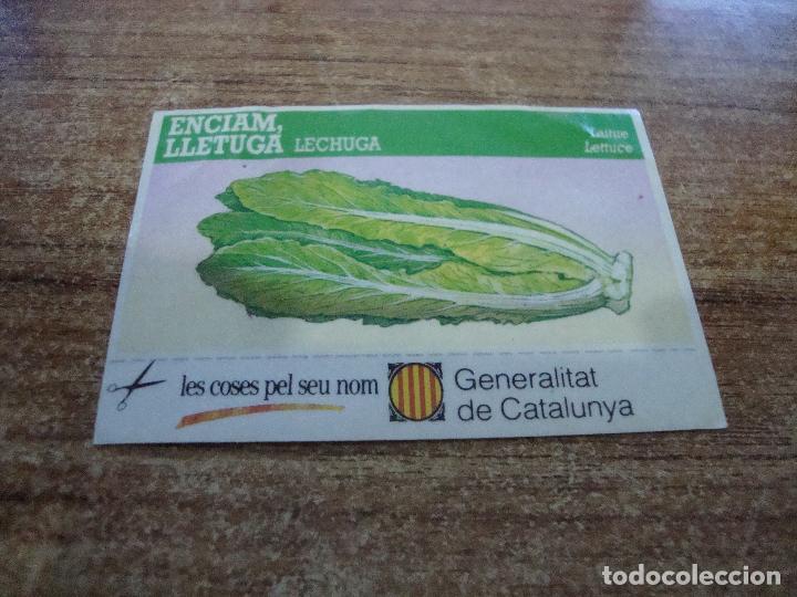 Autocollants de collection: CROMO PEGATINA GENERALITAT DE CATALUNYA LES COSES PEL SEU NOM