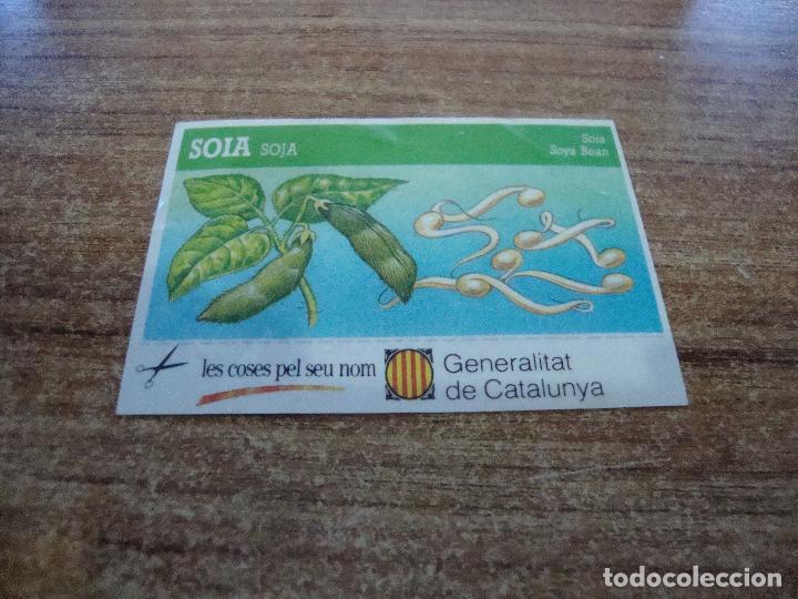 Autocollants de collection: CROMO PEGATINA GENERALITAT DE CATALUNYA LES COSES PEL SEU NOM