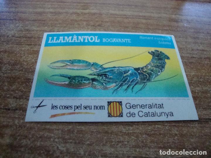 Autocollants de collection: CROMO PEGATINA GENERALITAT DE CATALUNYA LES COSES PEL SEU NOM