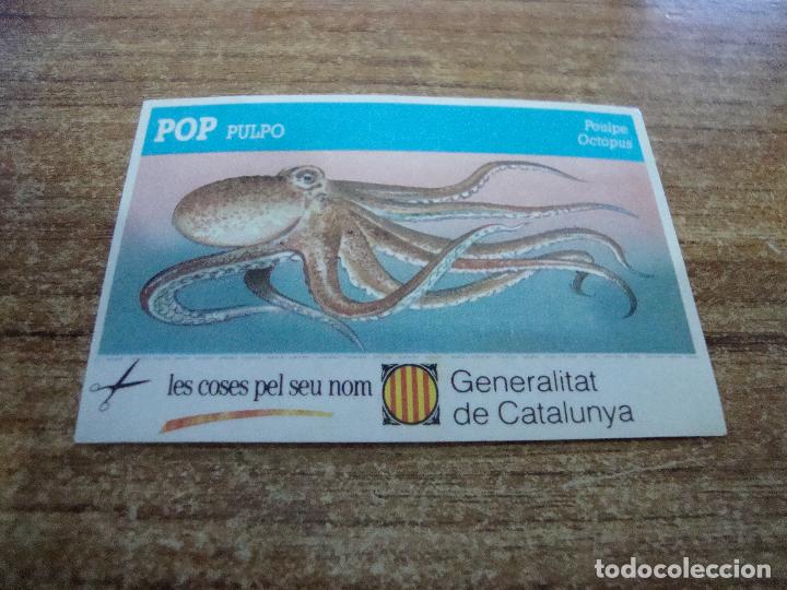 Autocollants de collection: CROMO PEGATINA GENERALITAT DE CATALUNYA LES COSES PEL SEU NOM