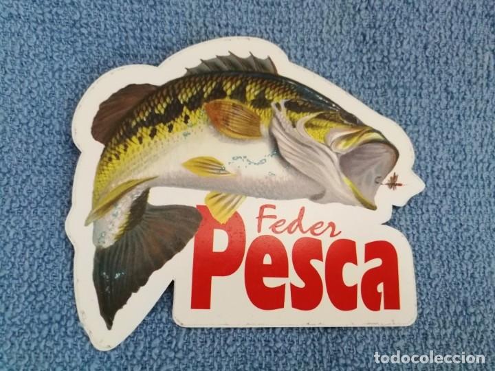 Pegatinas de colecci&oacute;n: PEGATINA FEDER PESCA