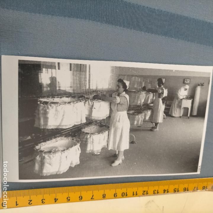 Adesivi di collezione: PEGATINA CROMO ADHESIVO - TROQUELADA - nidos para bebe casa cuna maternidad