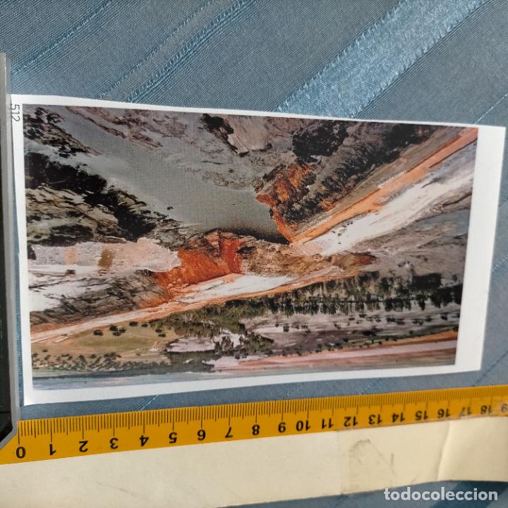 Collection stickers: PEGATINA CROMO ADHESIVO - TROQUELADA - ECOLOGISTAS - RIADA TOXICA AMENAZA DO&Ntilde;ANA - VERTIDOS 1998