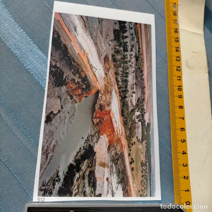 Collection stickers: PEGATINA CROMO ADHESIVO - TROQUELADA - ECOLOGISTAS - RIADA TOXICA AMENAZA DO&Ntilde;ANA - VERTIDOS 1998