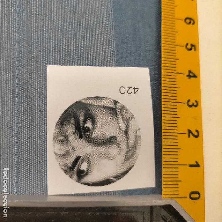Pegatinas de colecci&oacute;n: PEGATINA CROMO ADHESIVO - TROQUELADA - musica alaska olvido gara