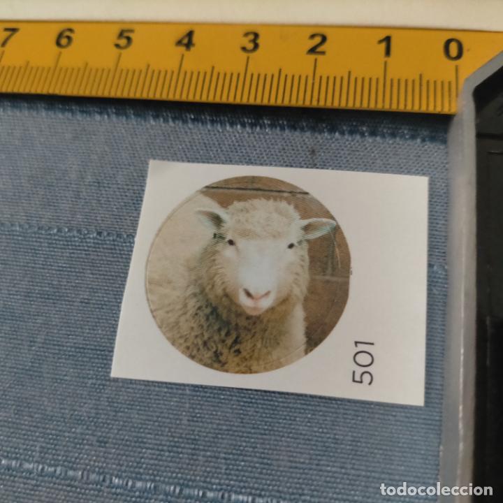 Pegatinas de colecci&oacute;n: PEGATINA CROMO ADHESIVO - TROQUELADA - CLON OVEJA DOLLY PRIMER MAMIFERO CLONADO