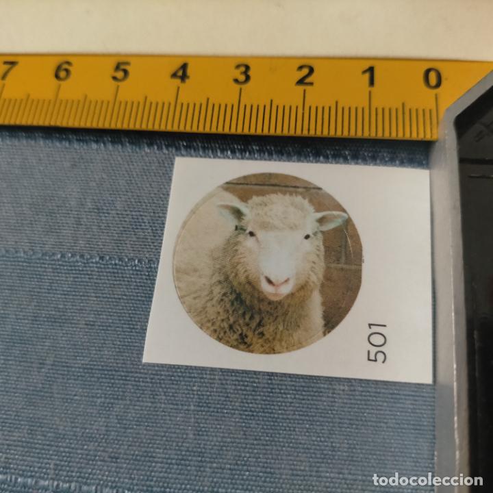 Pegatinas de colecci&oacute;n: PEGATINA CROMO ADHESIVO - TROQUELADA - CLON OVEJA DOLLY PRIMER MAMIFERO CLONADO