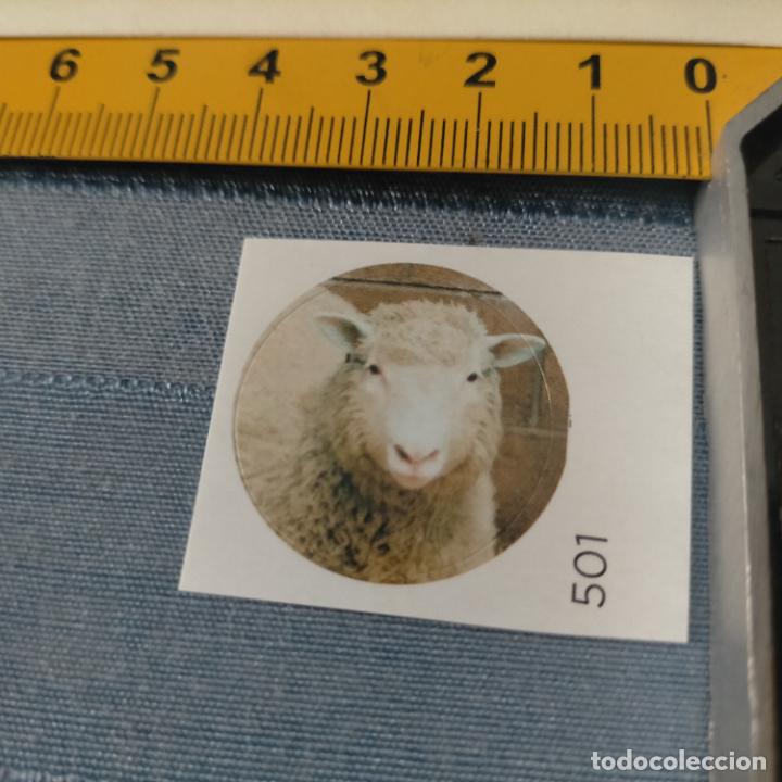 Pegatinas de colecci&oacute;n: PEGATINA CROMO ADHESIVO - TROQUELADA - CLON OVEJA DOLLY PRIMER MAMIFERO CLONADO
