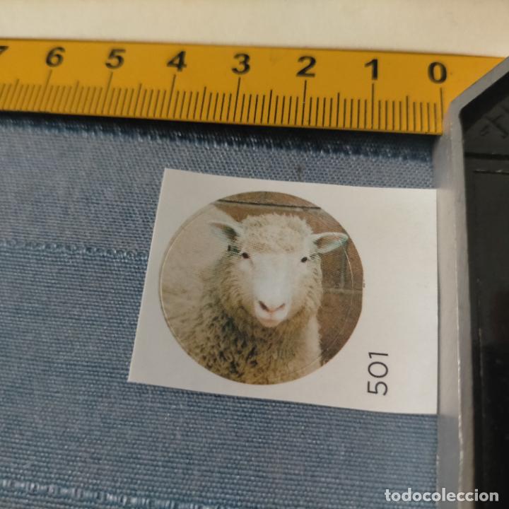 Pegatinas de colecci&oacute;n: PEGATINA CROMO ADHESIVO - TROQUELADA - CLON OVEJA DOLLY PRIMER MAMIFERO CLONADO