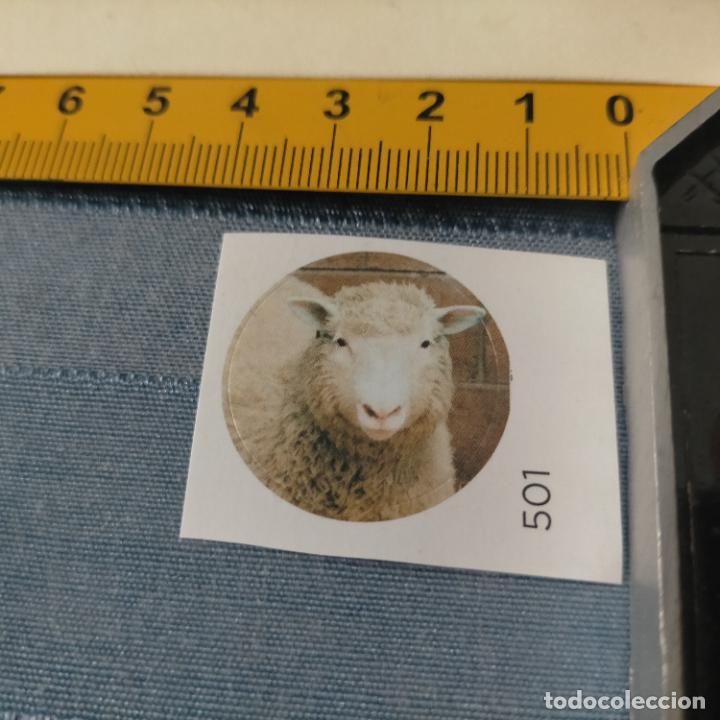 Pegatinas de colecci&oacute;n: PEGATINA CROMO ADHESIVO - TROQUELADA - CLON OVEJA DOLLY PRIMER MAMIFERO CLONADO