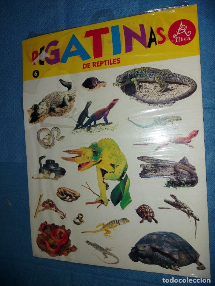 Pegatinas de colecci&oacute;n: PEGATINAS REPTILES- DE ALTEA - Foto 1