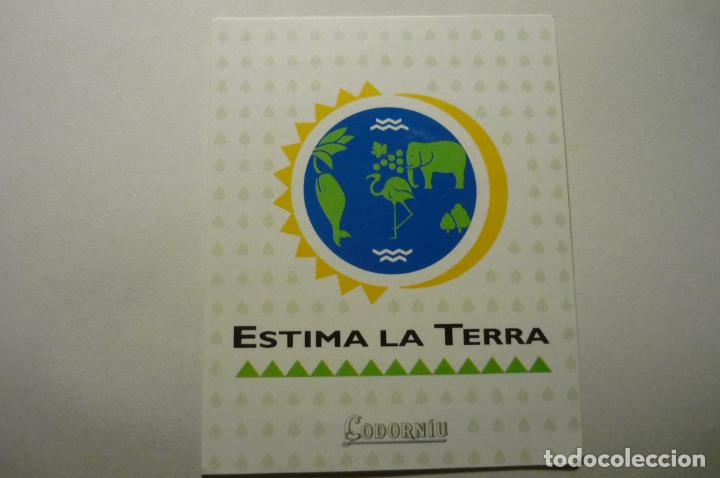 Pegatinas de colecci&oacute;n: PEGATINA CODORNIU ESTIMA LA TERRA -CATALAN CM