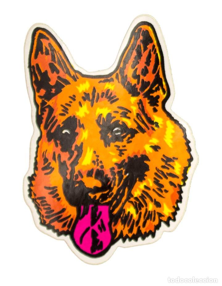 Autocolantes de cole&ccedil;&atilde;o: Pegatina Stickers, ideal para coches, motos, carpetas y habitaciones.