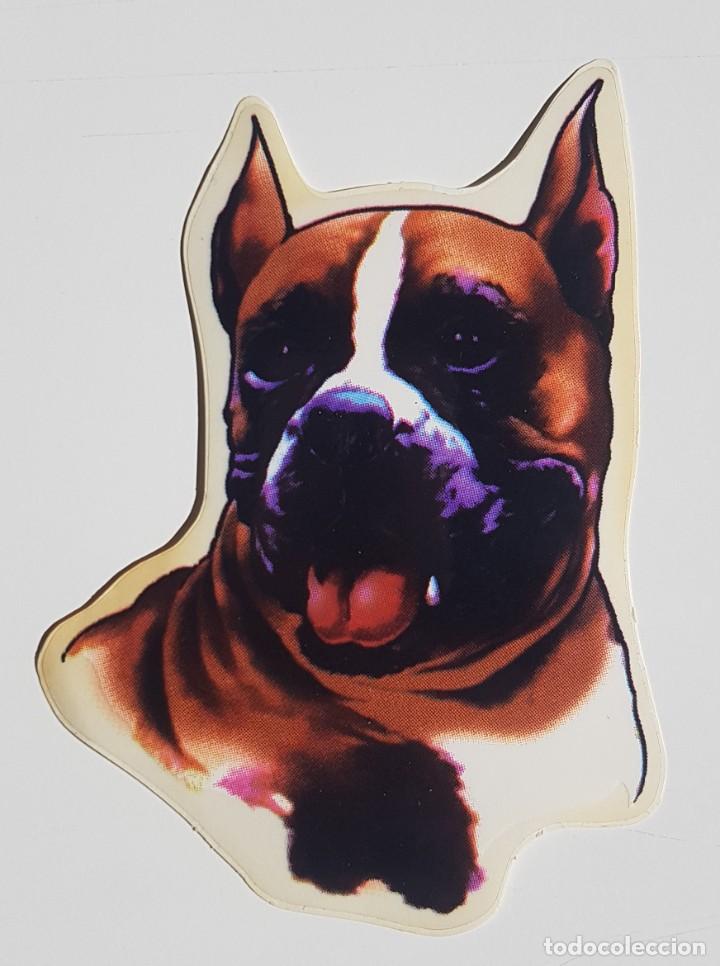 Adesivi di collezione: Pegatina Stickers ideal para coches, motos, carpetas y habitaciones.