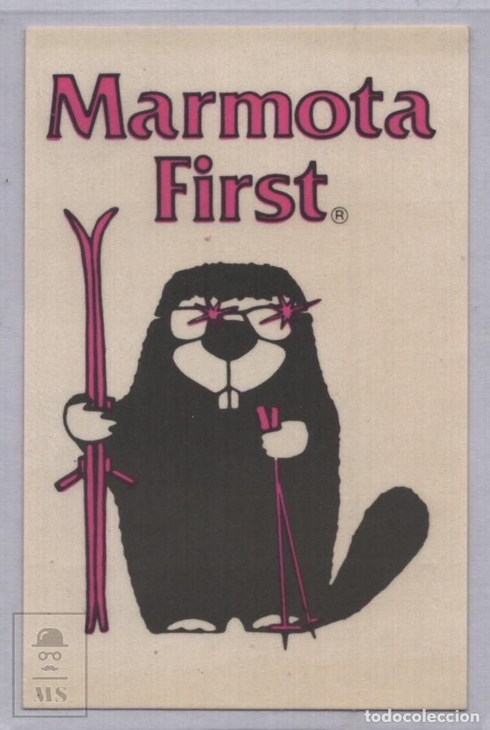 Pegatinas de colecci&oacute;n: Pegatina Marmota First - Medidas 6,3 x 9,5 cm - Esqu&iacute; / Ski
