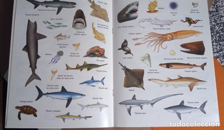 Pegatinas de colecci&oacute;n: Libro de PEGATINAS Nuevo, TIBURONES - Foto 2
