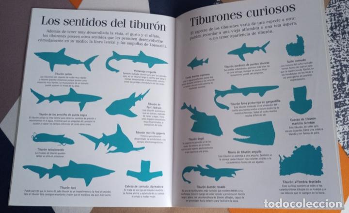 Pegatinas de colecci&oacute;n: Libro de PEGATINAS Nuevo, TIBURONES - Foto 3