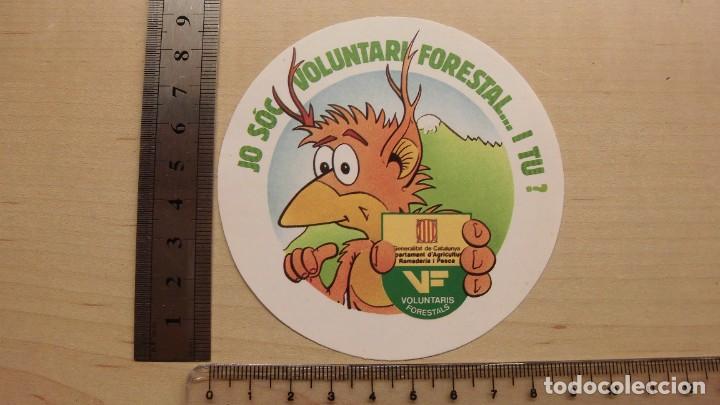 Autocollants de collection: Pegatinas Generalitat de Catalunya