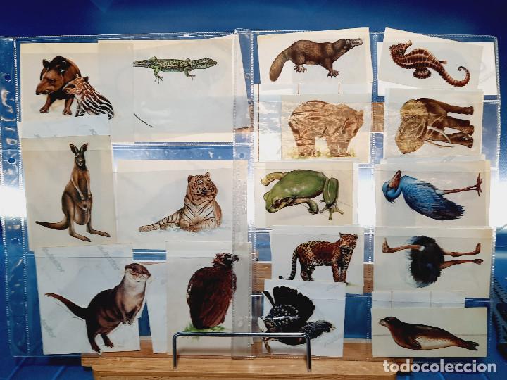 Autocollants de collection: Pegatinas de animales a&ntilde;os 80.