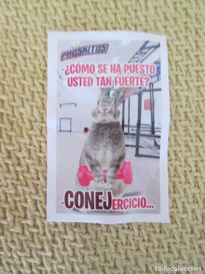 Pegatinas de colecci&oacute;n: Conejercicio - Phoskitos - Foto 1