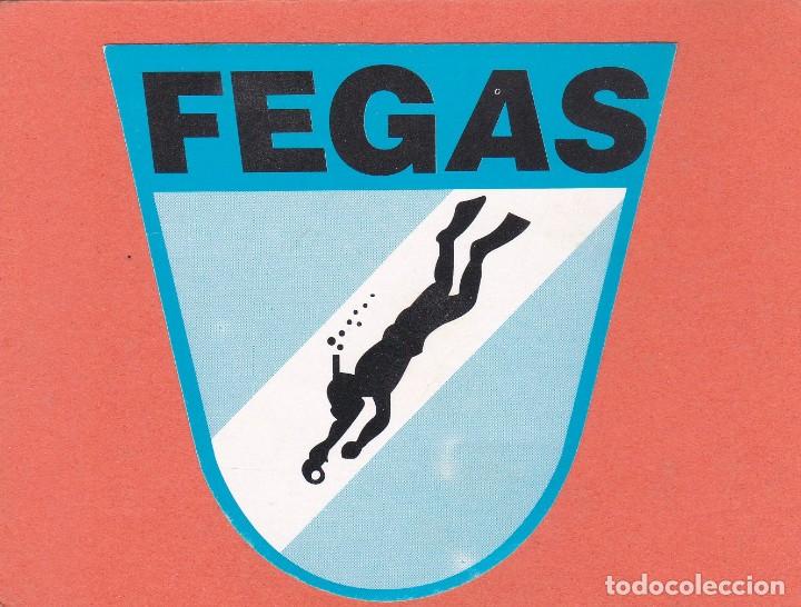 Sammlung von Aufklebern: PEGATINA FEGAS. FEDERACION GALLEGA DE ACTIVIDADES SUBACUATICAS