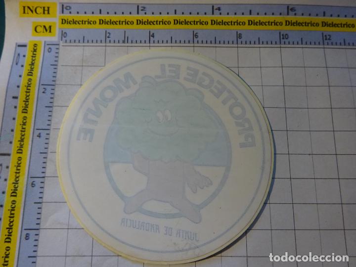 Pegatinas de colecci&oacute;n: PEGATINA POL&Iacute;TICO SINDICAL REIVINDICATIVA. PROTEGE EL MONTE JUNTA DE ANDALUCIA. 104