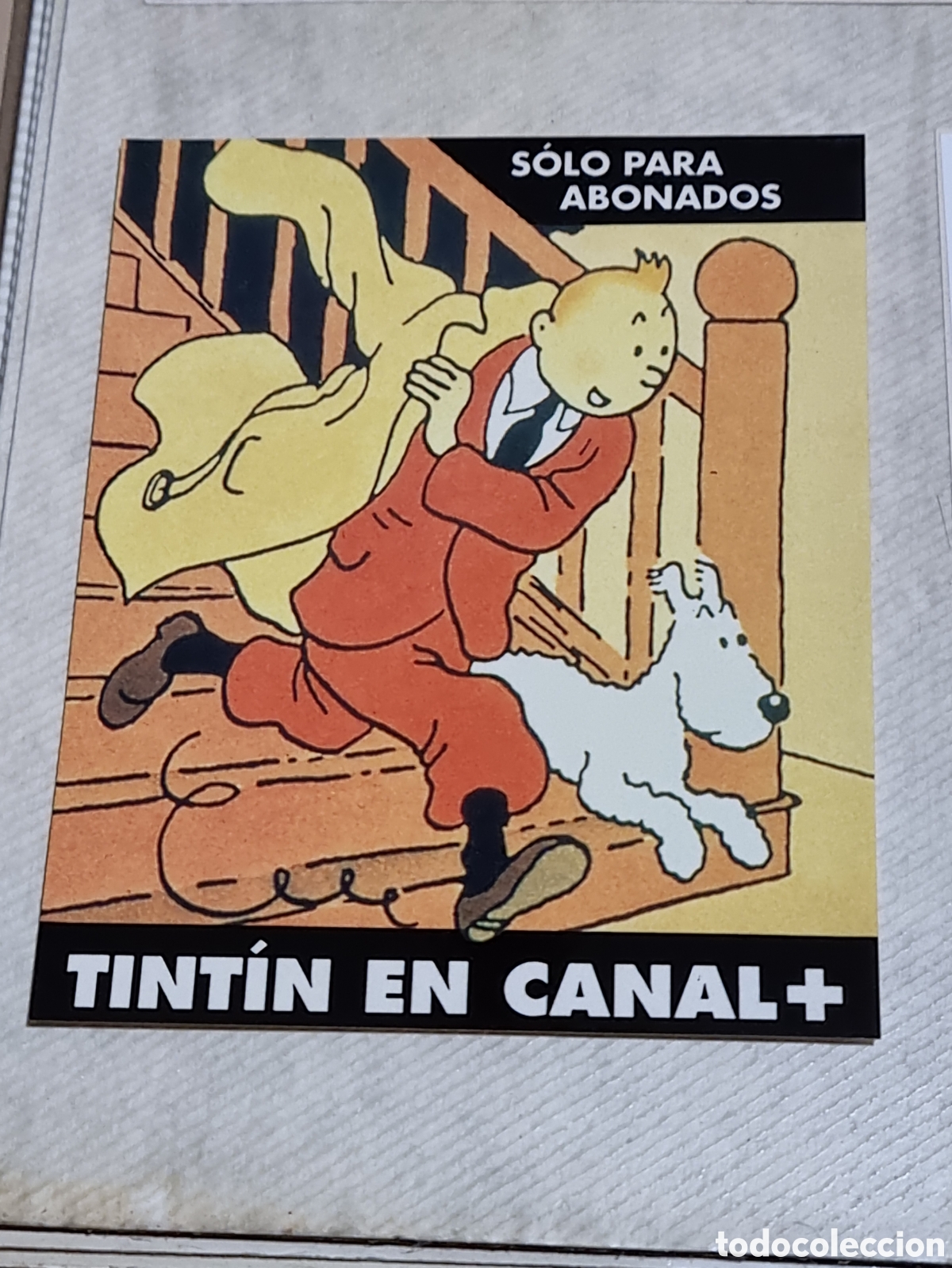 Pegatinas de colecci&oacute;n: PEGATINA TINTIN 11X9 CENT&Iacute;METROS