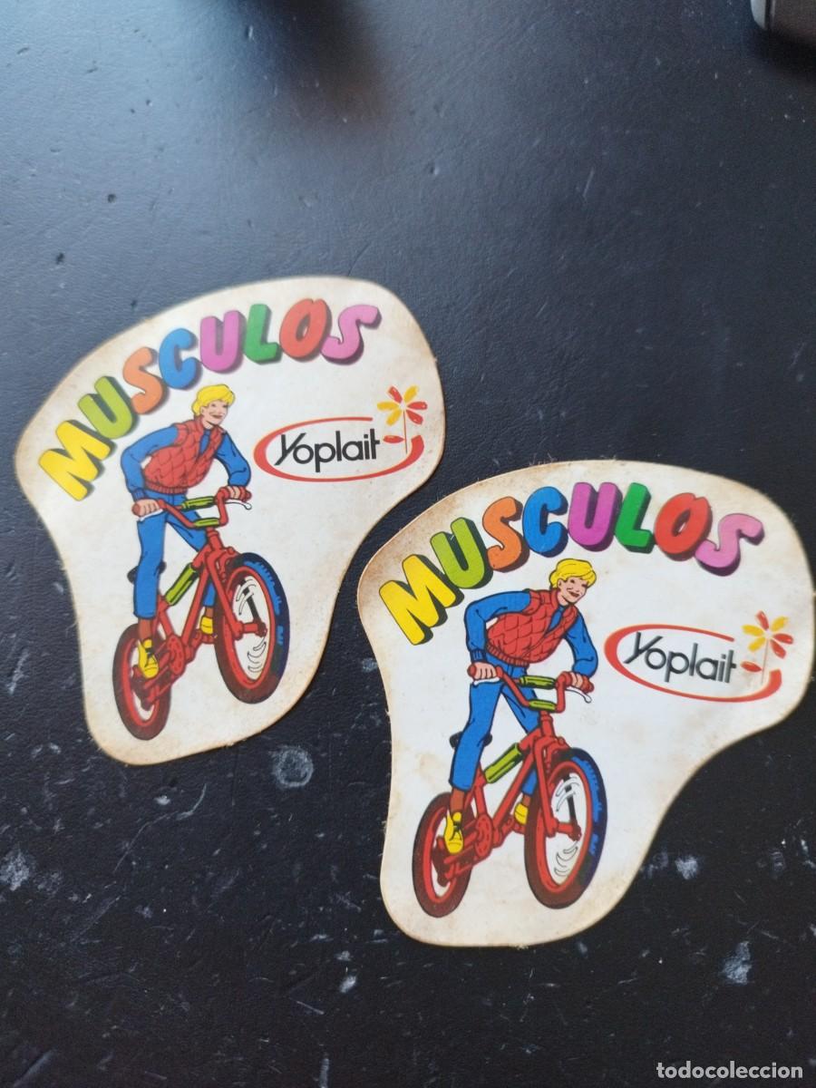 Pegatinas de colecci&oacute;n: 2 PEGATINAS: MUSCULOS DE YOPLAIT