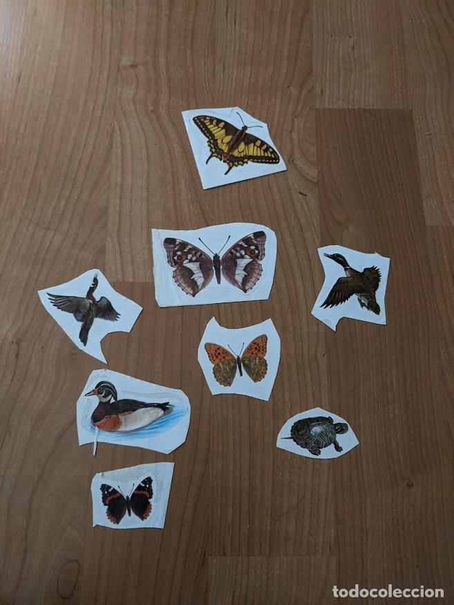 Sammlung von Aufklebern: LOTE 8 PEGATINAS