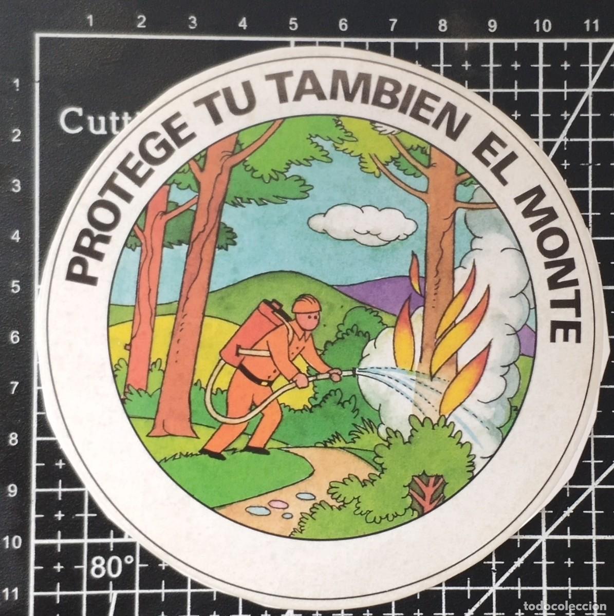 Pegatinas de colecci&oacute;n: PEGATINA ANTIGUA PROTEGE T&Uacute; TAMBI&Eacute;N EL MONTE - SIN PEGAR