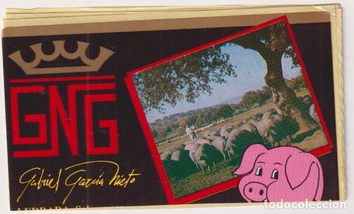 Autocollants de collection: Pegatina (6,5x10,5 cms.) GNG
