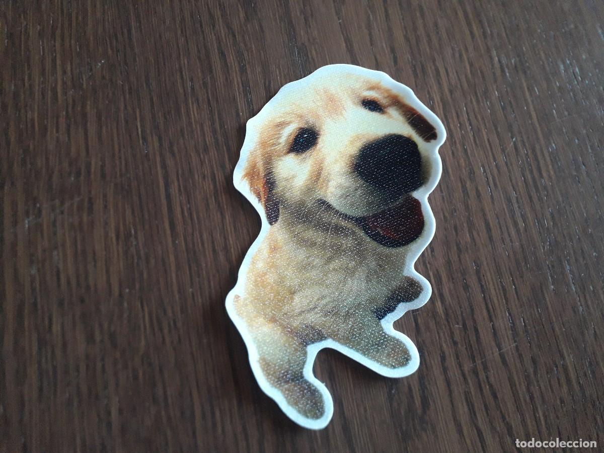 Pegatinas de colecci&oacute;n: pegatina acolchada, Perro. - Foto 1