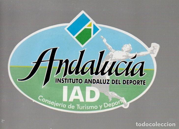 Pegatinas de colecci&oacute;n: ANTIGUA PEGATINA TROQUELADA, ANDALUCIA, INSTITUTO ANDALUZ DEL DEPORTE. 10,5 X 7 CM.