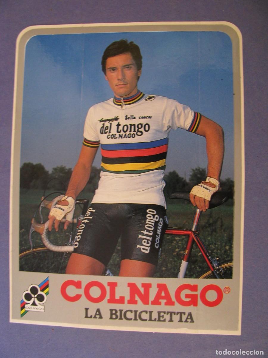 Pegatinas de colecci&oacute;n: PEGATINA, EQUIPO DEL TONGO COLNAGO, LA BICICLETA. CICLISTA GIUSEPPE SARONNI. 13X9,5 CM.