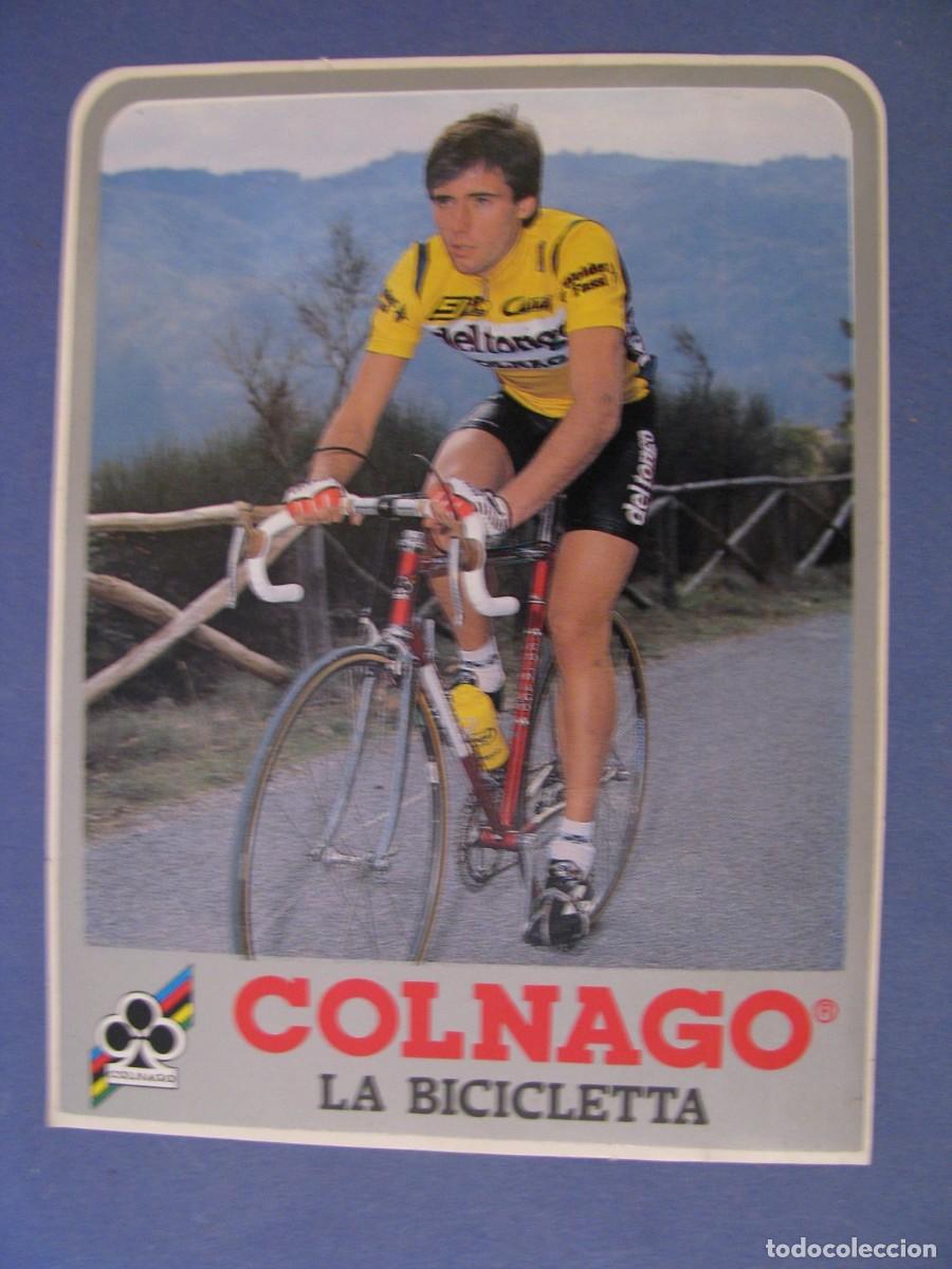 Pegatinas de colecci&oacute;n: PEGATINA, EQUIPO DEL TONGO COLNAGO, LA BICICLETA. CICLISTA FLAVIO GIUPPONI. 13X9,5 CM.