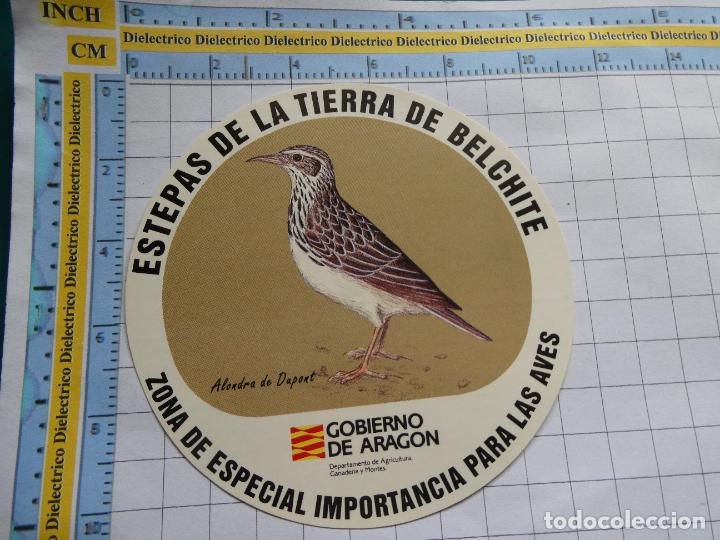 Sammlung von Aufklebern: PEGATINA DE NATURALEZA ECOLOG&Iacute;A. ESTEPAS DE LA TIERRA DE BELCHITE AVES ARAG&Oacute;N. ALONDRA DUPONT 58