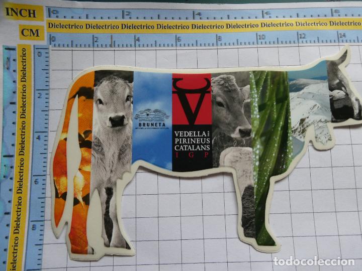 Autocollants de collection: PEGATINA CARNE TERNERA PIRINEO CATAL&Aacute;N PIRINEOS CATALU&Ntilde;A. VACA. 90
