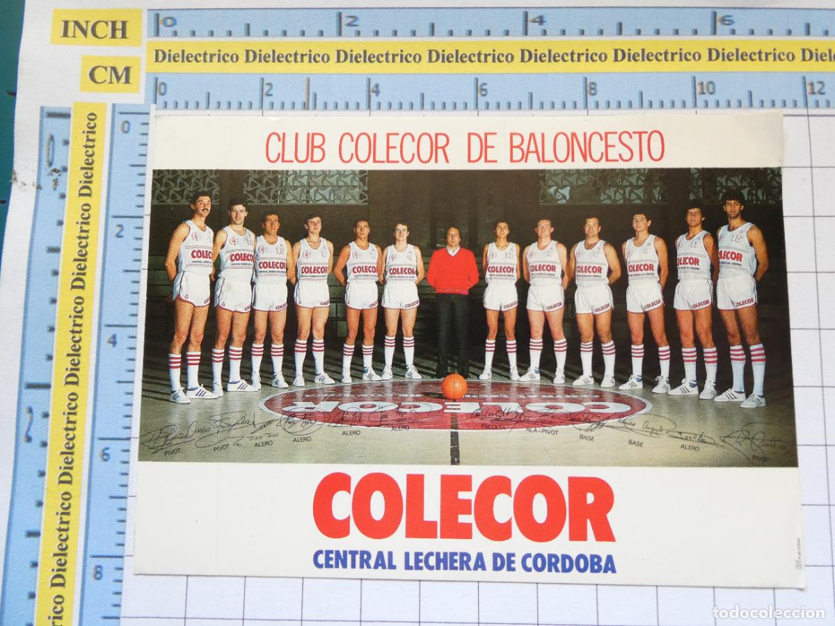 Autocolantes de cole&ccedil;&atilde;o: PEGATINA DE DEPORTES. BALONCESTO. BASKET COLECOR CENTRAL LECHERA DE C&Oacute;RDOBA CLUB. 68