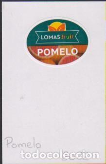 Sammlung von Aufklebern: pegatina fruta POMELO LOMAS adhesivo adhesiu enganxina fruit