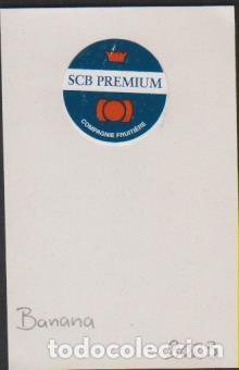 Pegatinas de colecci&oacute;n: pegatina fruta BANANA SCB PREMIUM adhesivo adhesiu enganxina fruit