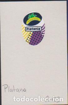 Collection stickers: pegatina fruta PL&Aacute;TANO CANARIAS PLATANIA adhesivo adhesiu enganxina fruit etiqueta