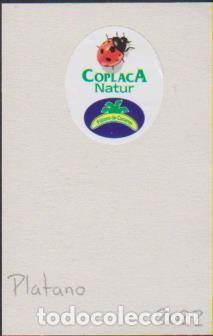 Collection stickers: pegatina fruta PL&Aacute;TANO CANARIAS COPLACA NATUR adhesivo adhesiu enganxina fruit etiqueta